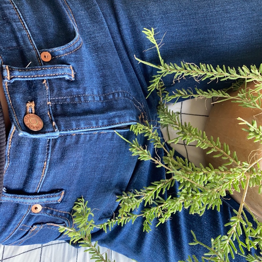 Madewell brand stretch denim jeans pinup